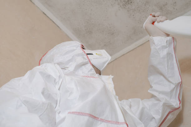 Best Emergency Mold Removal  in Sunrise Manor, NV